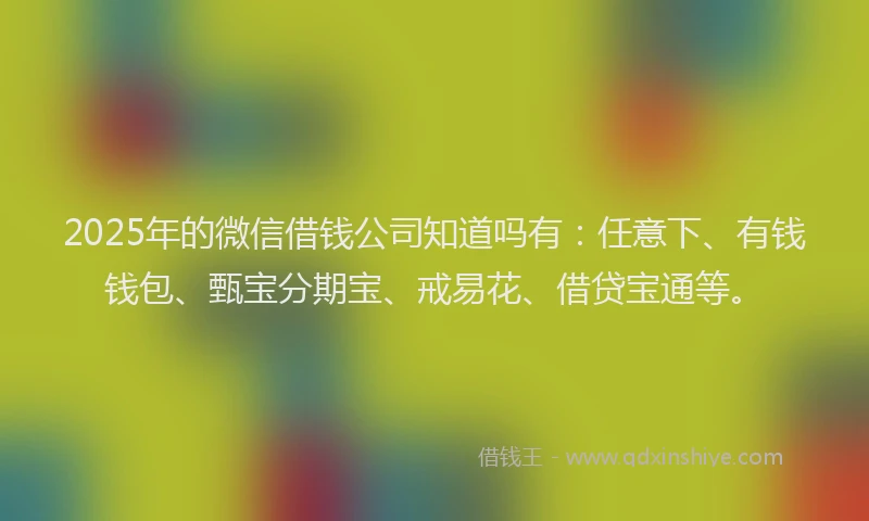 2025年的微信借钱公司知道吗有：任意下、有钱钱包、甄宝分期宝、戒易花、借贷宝通等。