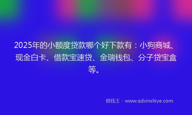 2025年的小额度贷款哪个好下款有：小狗商城、现金白卡、借款宝速贷、金瑞钱包、分子贷宝盒等。