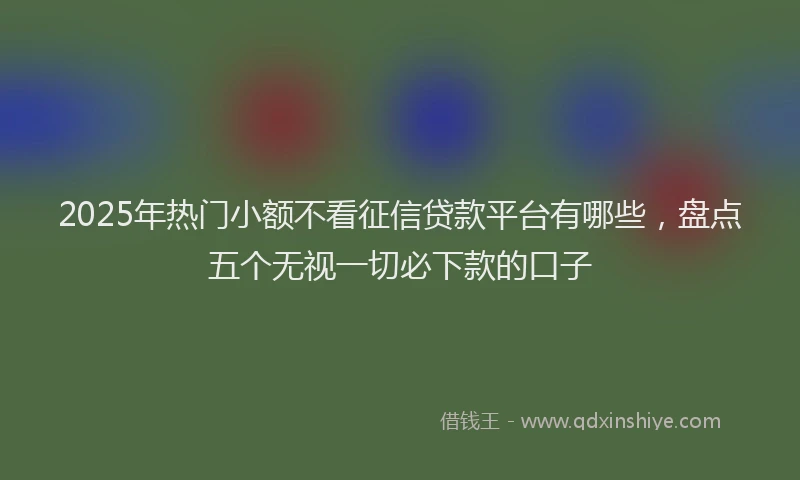 2025年热门小额不看征信贷款平台有哪些，盘点五个无视一切必下款的口子