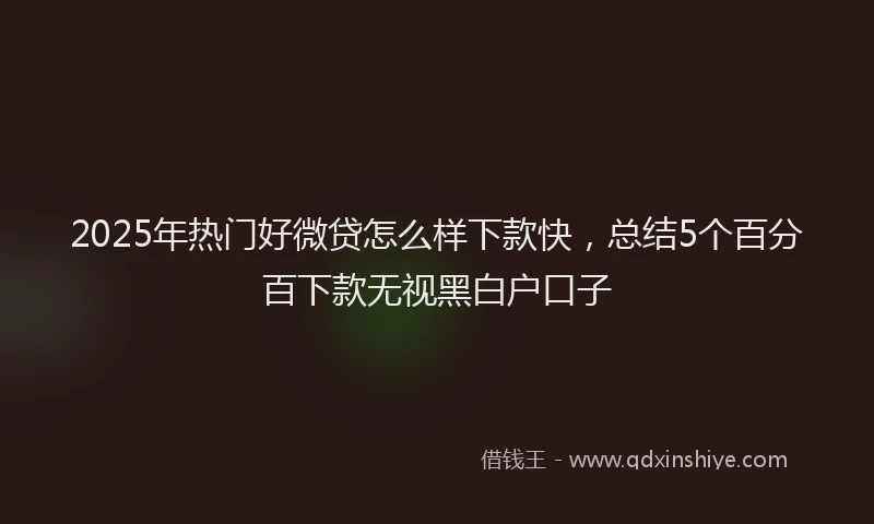 2025年热门好微贷怎么样下款快，总结5个百分百下款无视黑白户口子