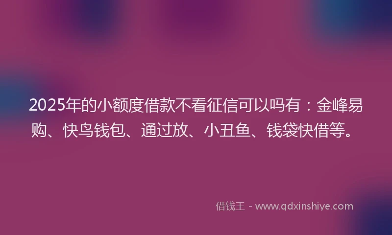 2025年的小额度借款不看征信可以吗有：金峰易购、快鸟钱包、通过放、小丑鱼、钱袋快借等。