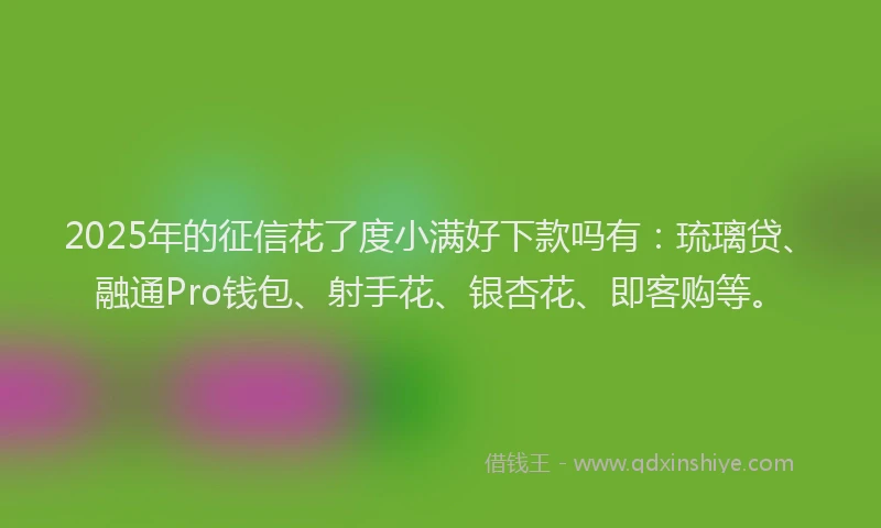 2025年的征信花了度小满好下款吗有：琉璃贷、融通Pro钱包、射手花、银杏花、即客购等。