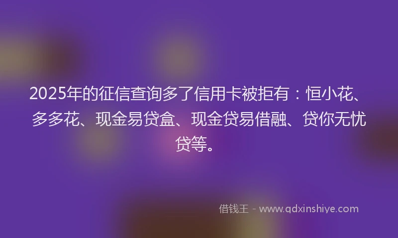 2025年的征信查询多了信用卡被拒有：恒小花、多多花、现金易贷盒、现金贷易借融、贷你无忧贷等。