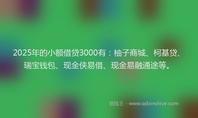 2025年的小额借贷3000有：柚子商城、柯基贷、瑞宝钱包、现金侠易借、现金易融通途等。