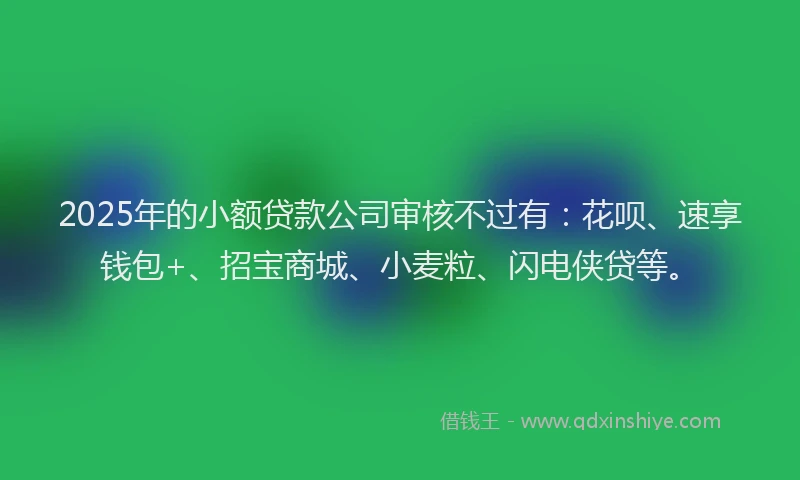 2025年的小额贷款公司审核不过有：花呗、速享钱包+、招宝商城、小麦粒、闪电侠贷等。