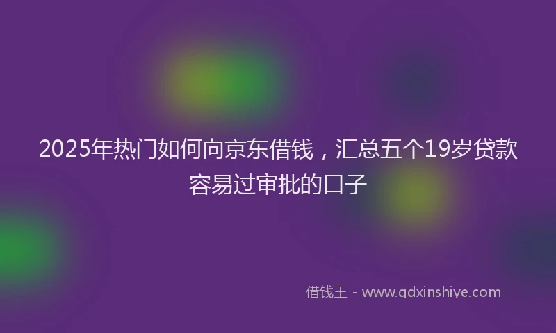 2025年热门如何向京东借钱，汇总五个19岁贷款容易过审批的口子