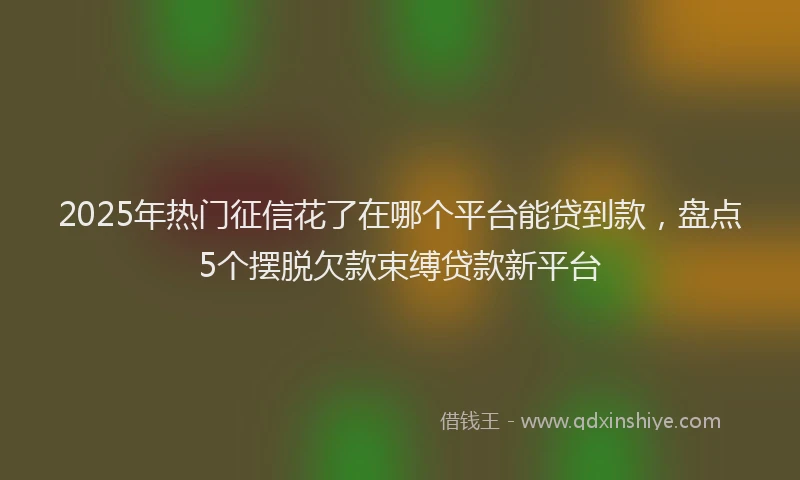 2025年热门征信花了在哪个平台能贷到款，盘点5个摆脱欠款束缚贷款新平台