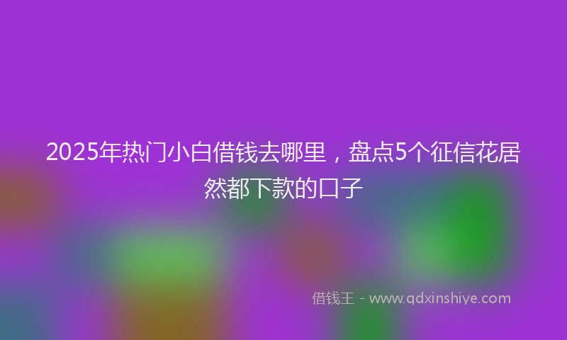 2025年热门小白借钱去哪里，盘点5个征信花居然都下款的口子