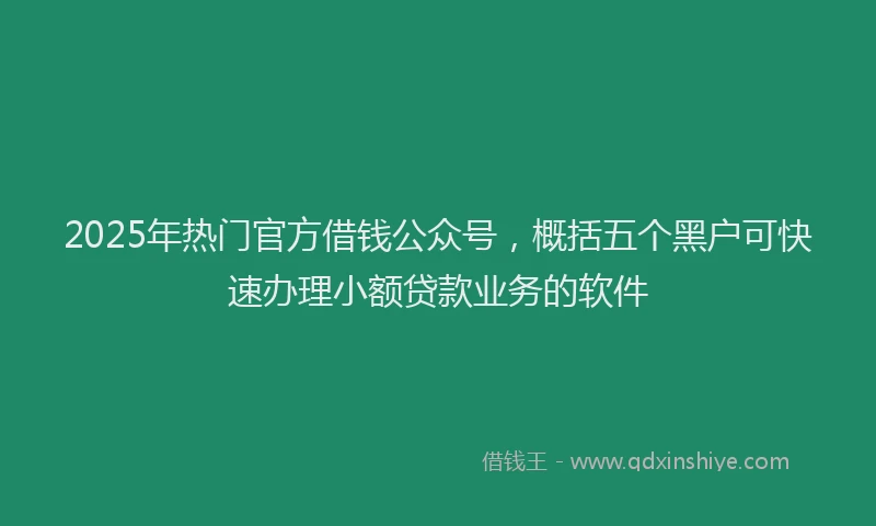 2025年热门官方借钱公众号，概括五个黑户可快速办理小额贷款业务的软件