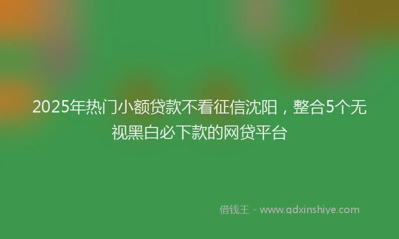 2025年热门小额贷款不看征信沈阳，整合5个无视黑白必下款的网贷平台