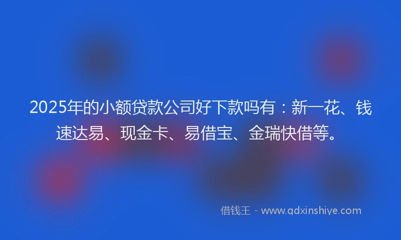 2025年的小额贷款公司好下款吗有：新一花、钱速达易、现金卡、易借宝、金瑞快借等。