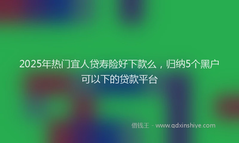 2025年热门宜人贷寿险好下款么，归纳5个黑户可以下的贷款平台