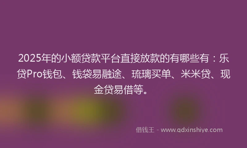 2025年的小额贷款平台直接放款的有哪些有：乐贷Pro钱包、钱袋易融途、琉璃买单、米米贷、现金贷易借等。