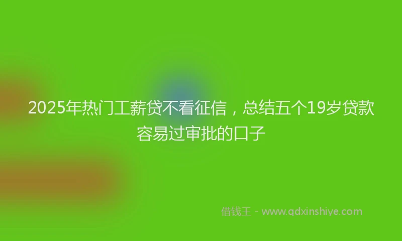 2025年热门工薪贷不看征信，总结五个19岁贷款容易过审批的口子