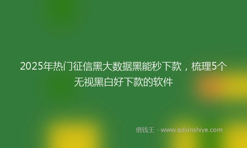 2025年热门征信黑大数据黑能秒下款，梳理5个无视黑白好下款的软件