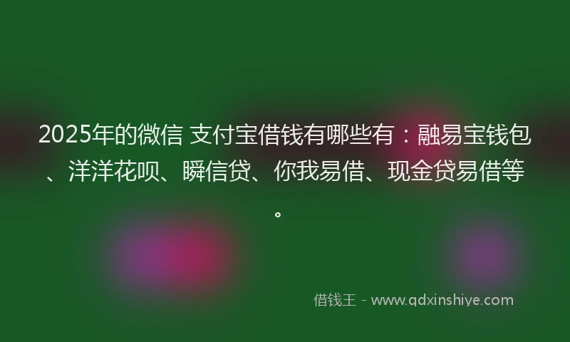 2025年的微信 支付宝借钱有哪些有：融易宝钱包、洋洋花呗、瞬信贷、你我易借、现金贷易借等。