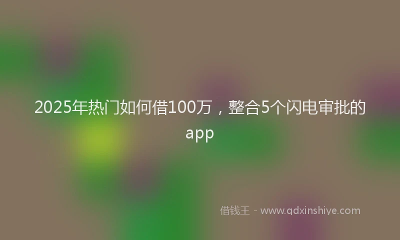 2025年热门如何借100万，整合5个闪电审批的app