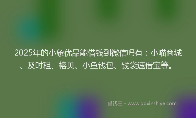 2025年的小象优品能借钱到微信吗有：小喵商城、及时租、榕贝、小鱼钱包、钱袋速借宝等。
