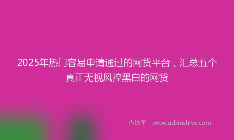 2025年热门容易申请通过的网贷平台，汇总五个真正无视风控黑白的网贷