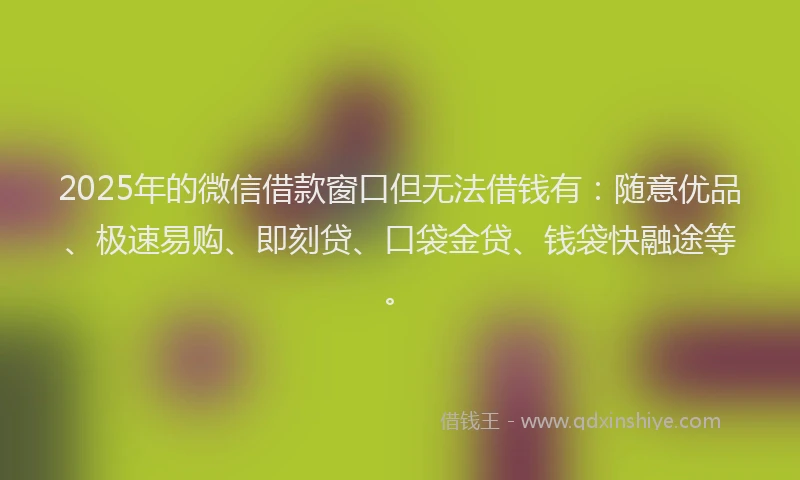 2025年的微信借款窗口但无法借钱有：随意优品、极速易购、即刻贷、口袋金贷、钱袋快融途等。