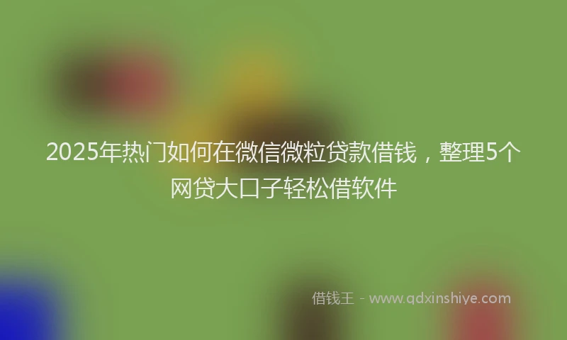 2025年热门如何在微信微粒贷款借钱，整理5个网贷大口子轻松借软件
