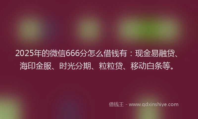 2025年的微信666分怎么借钱有：现金易融贷、海印金服、时光分期、粒粒贷、移动白条等。