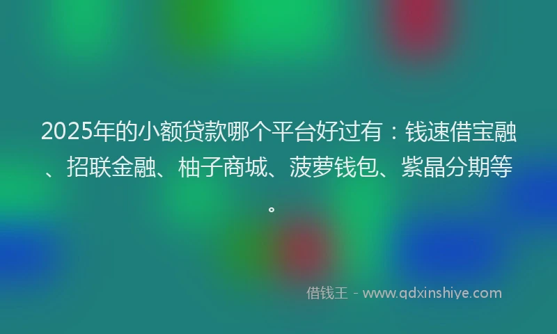 2025年的小额贷款哪个平台好过有：钱速借宝融、招联金融、柚子商城、菠萝钱包、紫晶分期等。