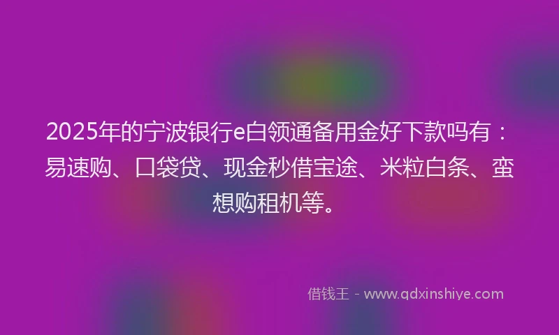 2025年的宁波银行e白领通备用金好下款吗有：易速购、口袋贷、现金秒借宝途、米粒白条、蛮想购租机等。