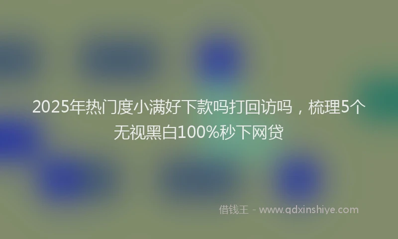 2025年热门度小满好下款吗打回访吗，梳理5个无视黑白100%秒下网贷