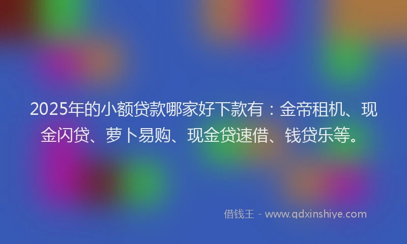 2025年的小额贷款哪家好下款有：金帝租机、现金闪贷、萝卜易购、现金贷速借、钱贷乐等。