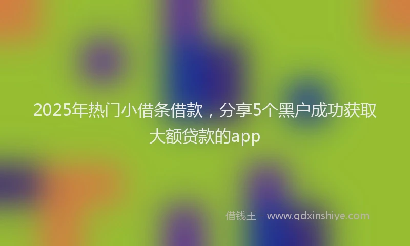 2025年热门小借条借款，分享5个黑户成功获取大额贷款的app