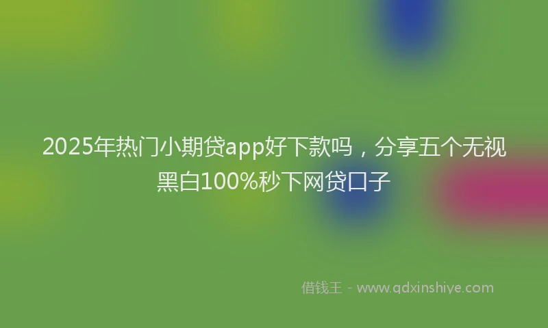 2025年热门小期贷app好下款吗，分享五个无视黑白100%秒下网贷口子