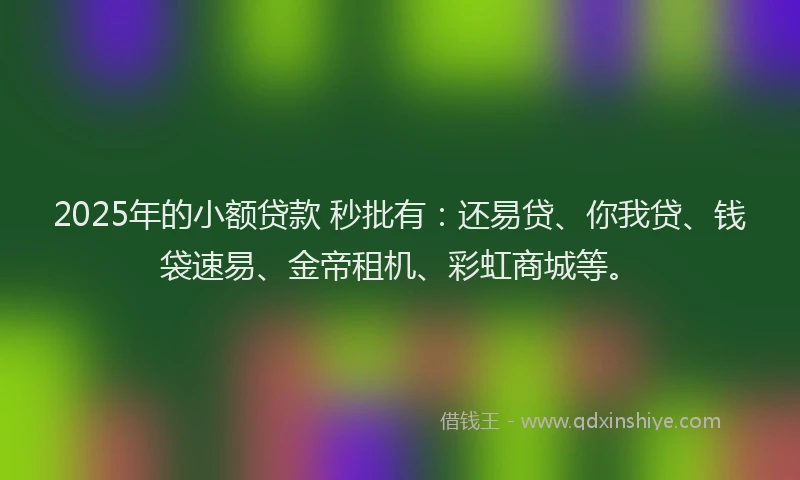 2025年的小额贷款 秒批有：还易贷、你我贷、钱袋速易、金帝租机、彩虹商城等。