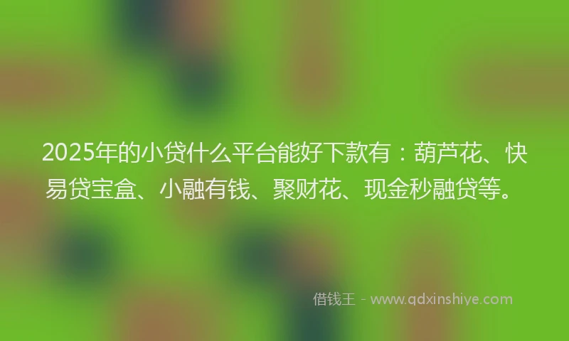 2025年的小贷什么平台能好下款有：葫芦花、快易贷宝盒、小融有钱、聚财花、现金秒融贷等。