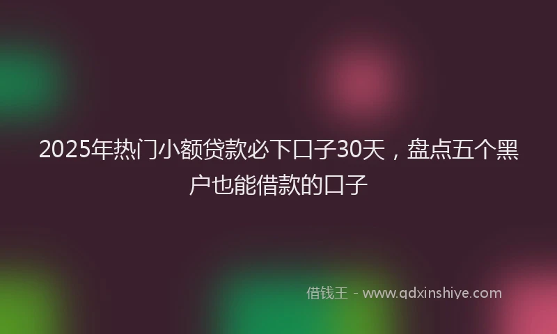 2025年热门小额贷款必下口子30天，盘点五个黑户也能借款的口子