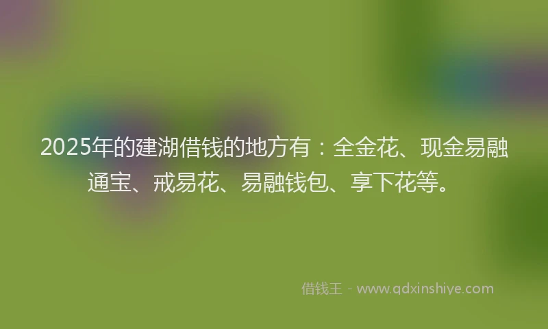 2025年的建湖借钱的地方有：全金花、现金易融通宝、戒易花、易融钱包、享下花等。