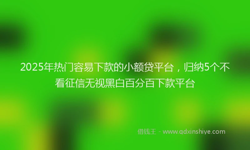 2025年热门容易下款的小额贷平台，归纳5个不看征信无视黑白百分百下款平台