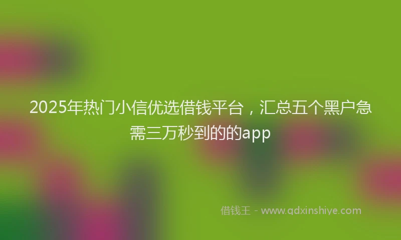 2025年热门小信优选借钱平台，汇总五个黑户急需三万秒到的的app
