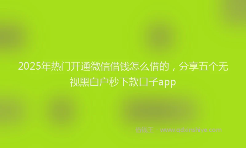2025年热门开通微信借钱怎么借的，分享五个无视黑白户秒下款口子app