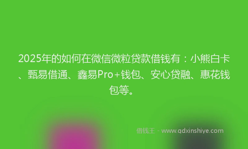2025年的如何在微信微粒贷款借钱有：小熊白卡、甄易借通、鑫易Pro+钱包、安心贷融、惠花钱包等。