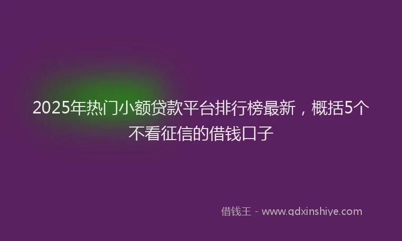 2025年热门小额贷款平台排行榜最新，概括5个不看征信的借钱口子