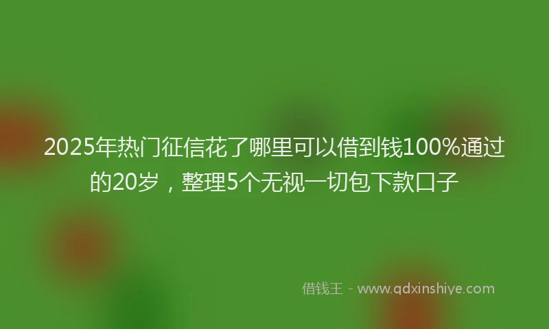 2025年热门征信花了哪里可以借到钱100%通过的20岁，整理5个无视一切包下款口子