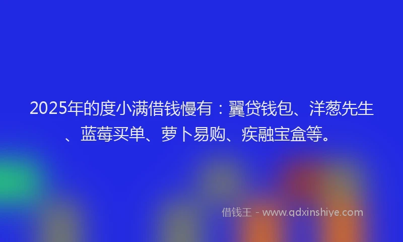 2025年的度小满借钱慢有：翼贷钱包、洋葱先生、蓝莓买单、萝卜易购、疾融宝盒等。