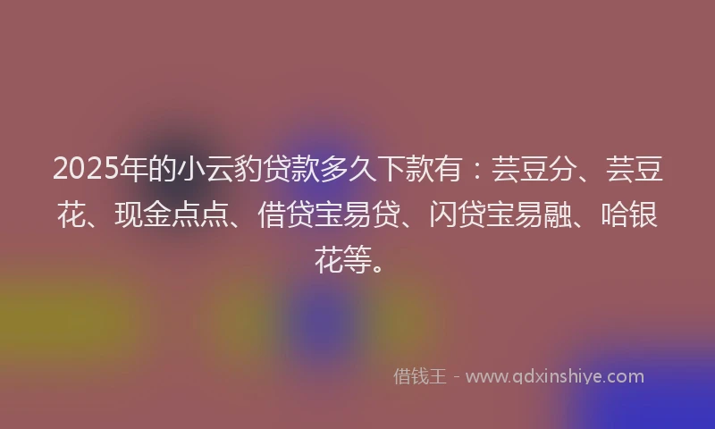 2025年的小云豹贷款多久下款有：芸豆分、芸豆花、现金点点、借贷宝易贷、闪贷宝易融、哈银花等。