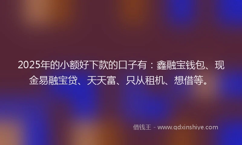 2025年的小额好下款的口子有：鑫融宝钱包、现金易融宝贷、天天富、只从租机、想借等。