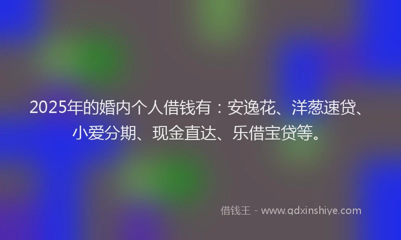 2025年的婚内个人借钱有：安逸花、洋葱速贷、小爱分期、现金直达、乐借宝贷等。