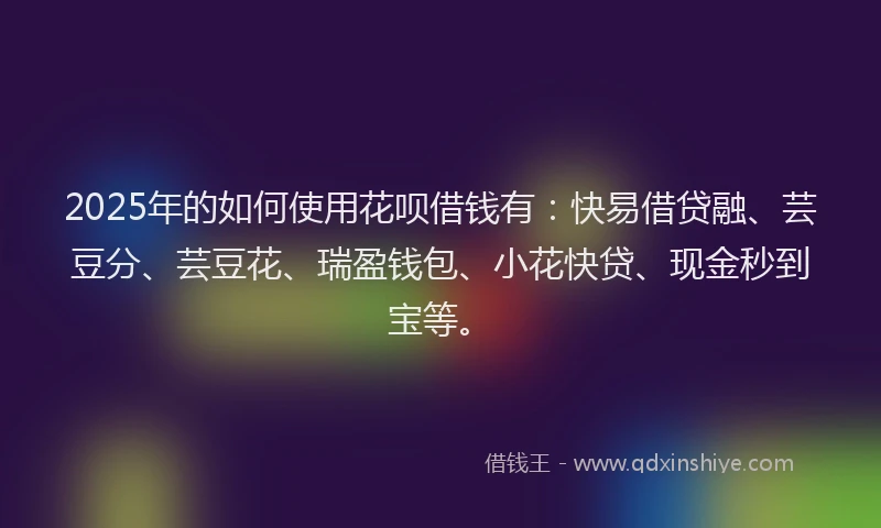 2025年的如何使用花呗借钱有：快易借贷融、芸豆分、芸豆花、瑞盈钱包、小花快贷、现金秒到宝等。