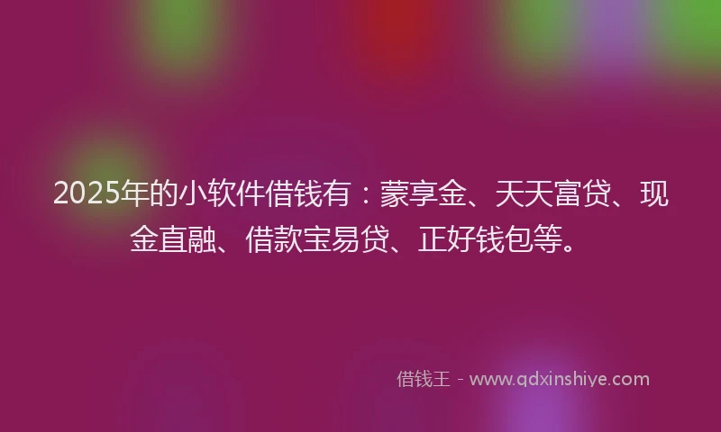 2025年的小软件借钱有：蒙享金、天天富贷、现金直融、借款宝易贷、正好钱包等。