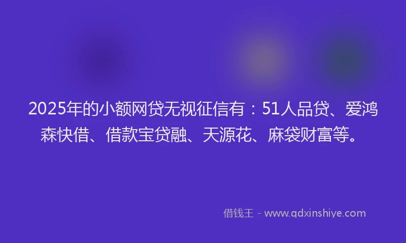 2025年的小额网贷无视征信有：51人品贷、爱鸿森快借、借款宝贷融、天源花、麻袋财富等。