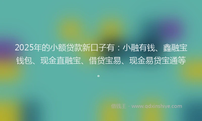 2025年的小额贷款新口子有：小融有钱、鑫融宝钱包、现金直融宝、借贷宝易、现金易贷宝通等。